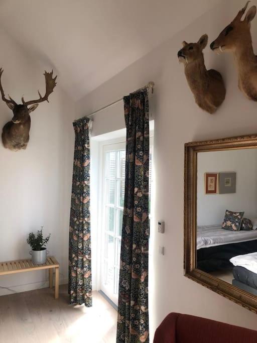Cozy, Quiet Perfect For Business Or Pleasure * Hillerød