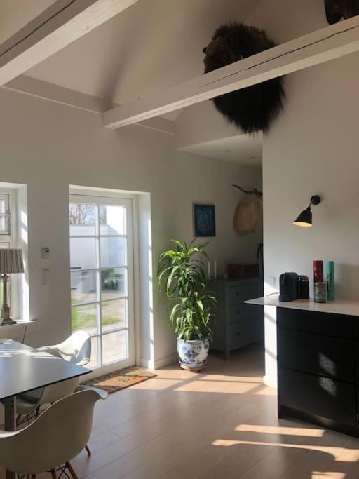 Cozy, Quiet Perfect For Business Or Pleasure Villa *