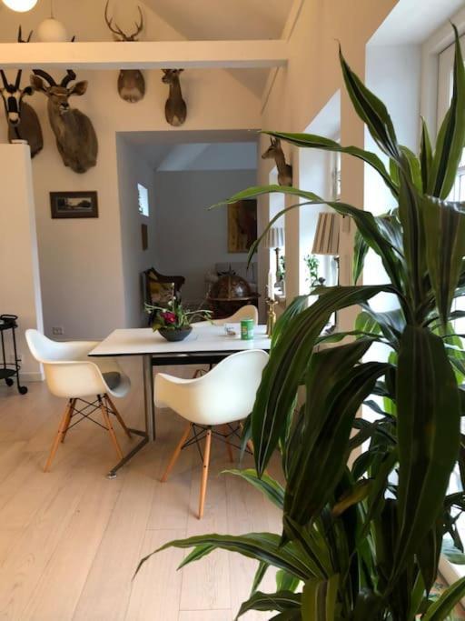 Cozy, Quiet Perfect For Business Or Pleasure Villa *