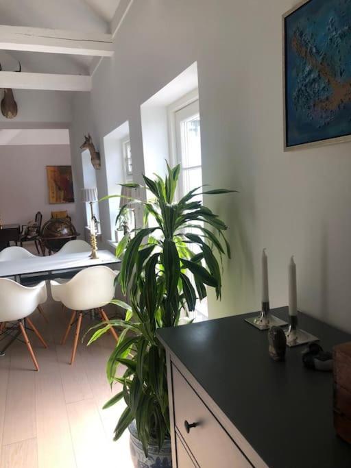 Cozy, Quiet Perfect For Business Or Pleasure Villa *