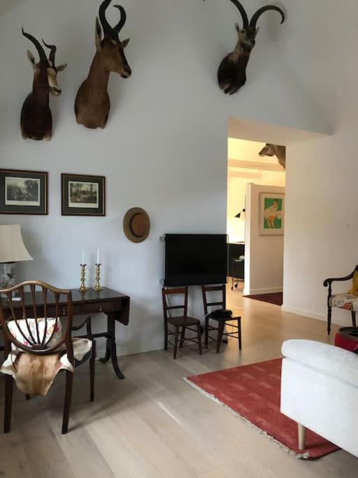Cozy, Quiet Perfect For Business Or Pleasure Villa *